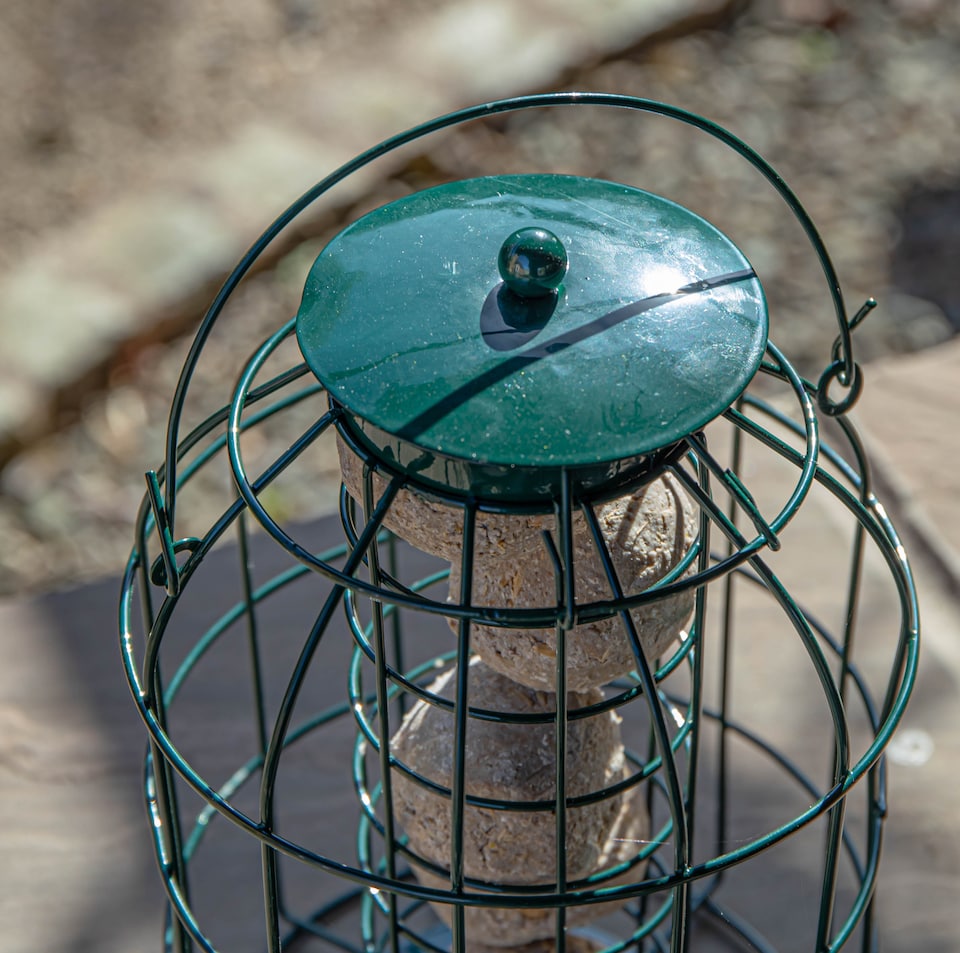 image 1 of Pack of 2 Samuel Alexander Metal Hanging Bird Fat Ball Feeder with Squirrel Guard & Pack of 6 Suet Fat Balls