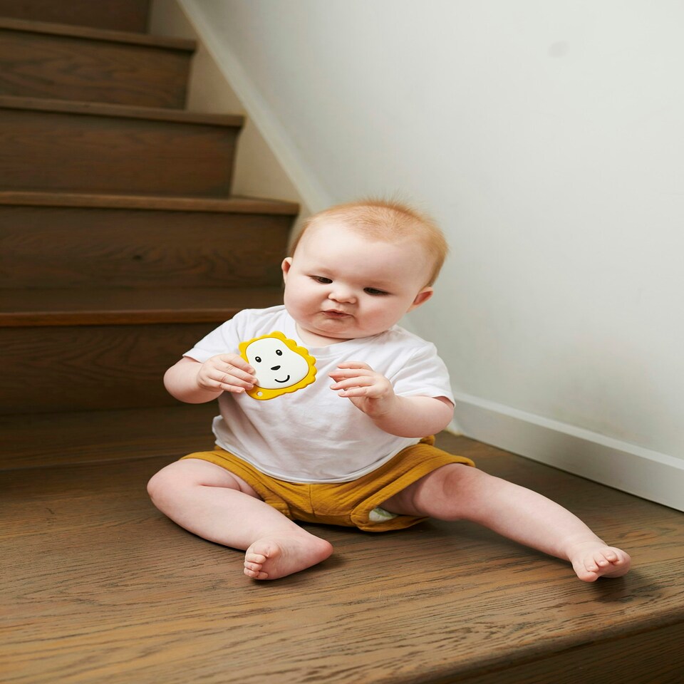 image 1 of Matchstick Monkey Flat Face Teether Lion