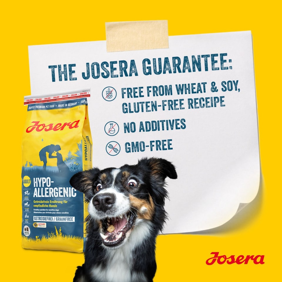 image 1 of Josera Adult Hypoallergenic complete dog food | Allergy relief | Sensitive digestion | Novel single animal protein | Grain-free | All breed sizes | 5x0.9kg