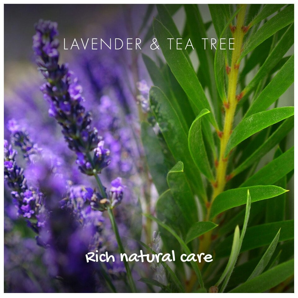 image 1 of Friendly Soap - Natural Shampoo Bar - Lavender & Tea Tree - 95g