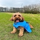 image 8 of HugglePets Arctic Armour Dog Coat Red | M