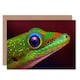 image 1 of Gold Dust Day Gecko Colourful Head Animal Photograph Greeting Card