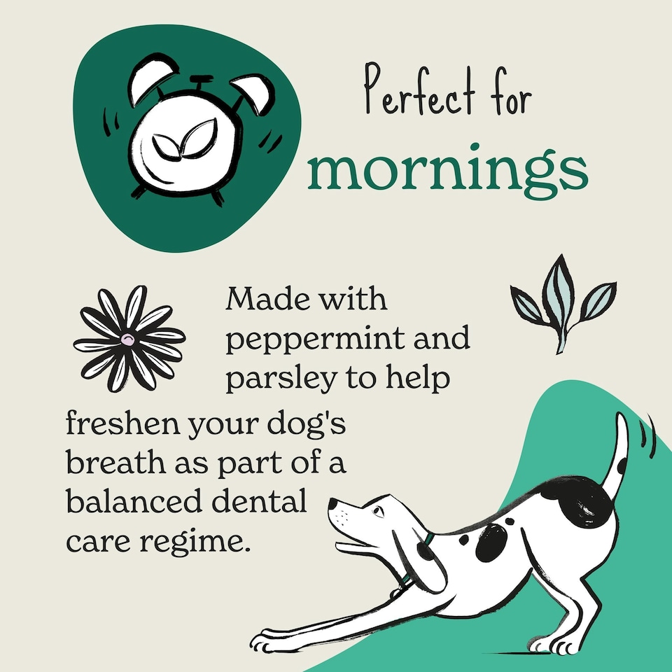 image 1 of Fresh Breath Peppermint & Parsley Dog Treats (8x90g)