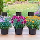 image 2 of Handheld Mini Blackboard & Chalk For Plant Pots | Multi | Set of 10 & Rectangle | 10