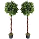 image 1 of Artificial Topiary Bay Laurel Trees Pair 120cm Trunk | Green | 4ft