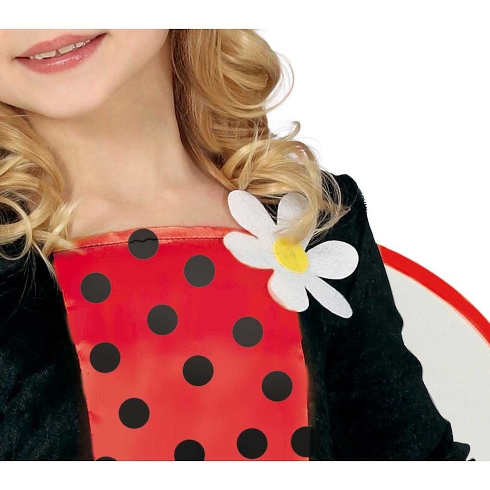 image 1 of Fiestas Guirca Girls Ladybird Costume Set | Red | Red/Black | 3-4 years | 1
