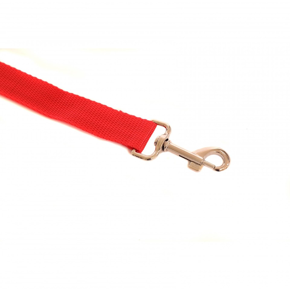 image 1 of Universal Red Dog Pet Seat Belt Safety Restraint Harness Lead | Red | Not provided