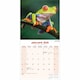 image 2 of Frogs 2026 Calendar | Square Wall Calendar | Reptile Gift | Plastic Free Packaging | by Avonside Publishing