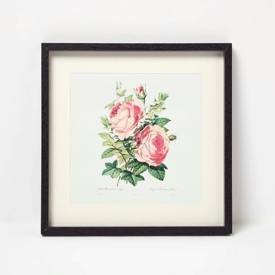 image 1 of Homescapes Wall Decoration Set of 3 Frames with Picture, Roses