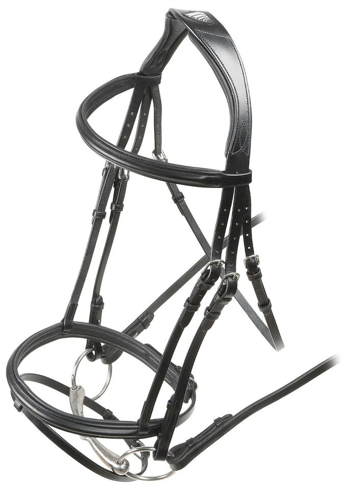 image 1 of Shires Velociti Padded Raised Flash Bridle Black | Size: Cob
Colour: Black