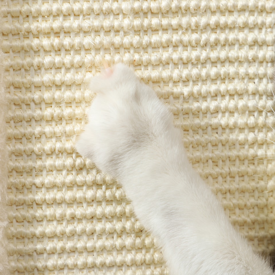 image 1 of PawHut 3-in-1 Cat Scratcher Post with Sisal Track Ball Toy, Light Oak