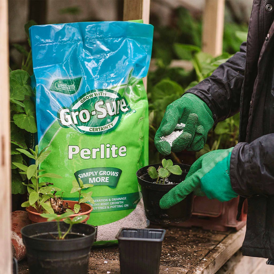 image 1 of Gro-Sure Perlite 2-5mm, 10 Litre Bag