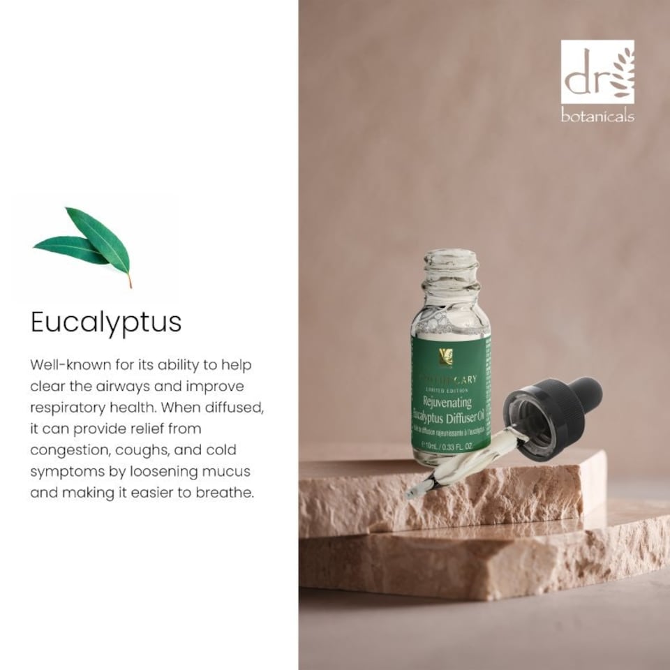 image 1 of Dr Botanicals Rejuvenating Eucalyptus Diffuser Oil 10ml Twin Value Savings Pack