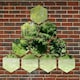 image 2 of Primrose Set of 7 Small Outdoor Hexagonal Silver Mirrors 11in