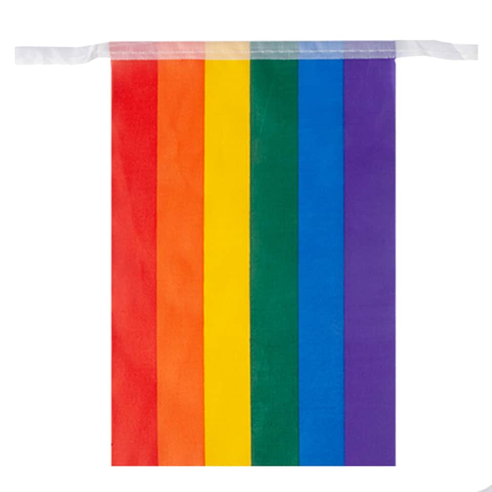 image 1 of VFM e-Store Rainbow Pride Bunting Flags 12ft