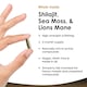 image 2 of Shilajit, Sea Moss & Lion's Mane Capsules - Mood & Anxiety Support - Vegan 120 Capsules