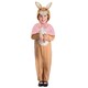 image 1 of Peter Rabbit Childrens/Kids Flopsy Classic Costume | Brown | Brown/White/Pink | 1-2 years | 1