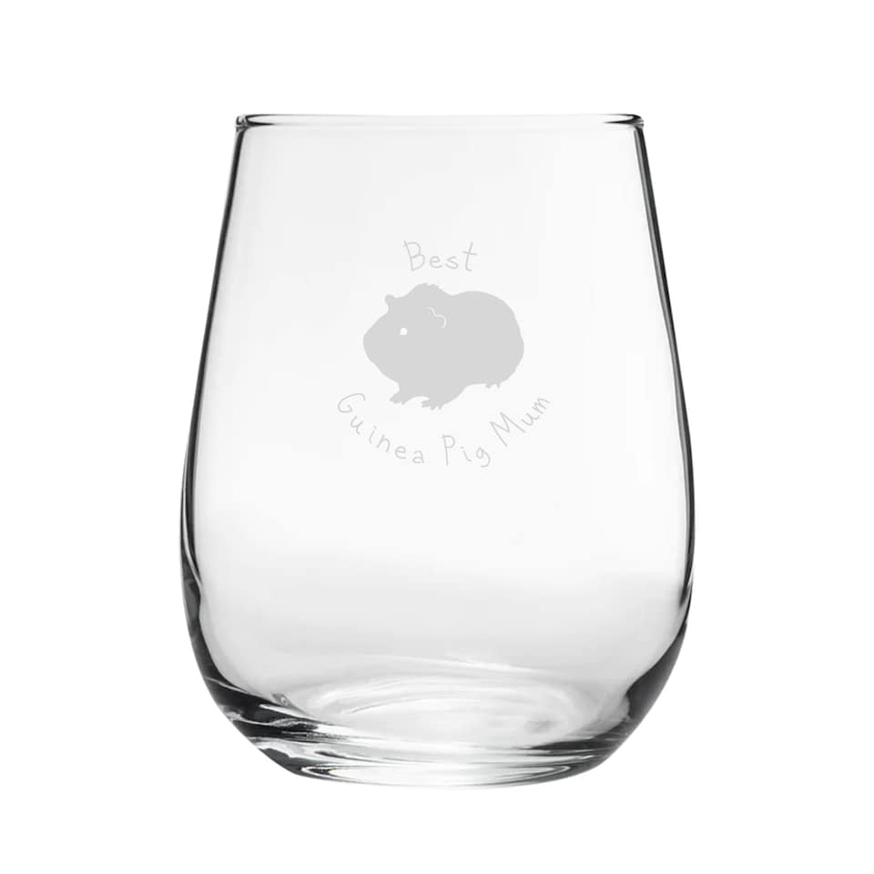 image 1 of Personalised Best Guinea Pig Dad Engraved Stemless Wine Gin Tumbler