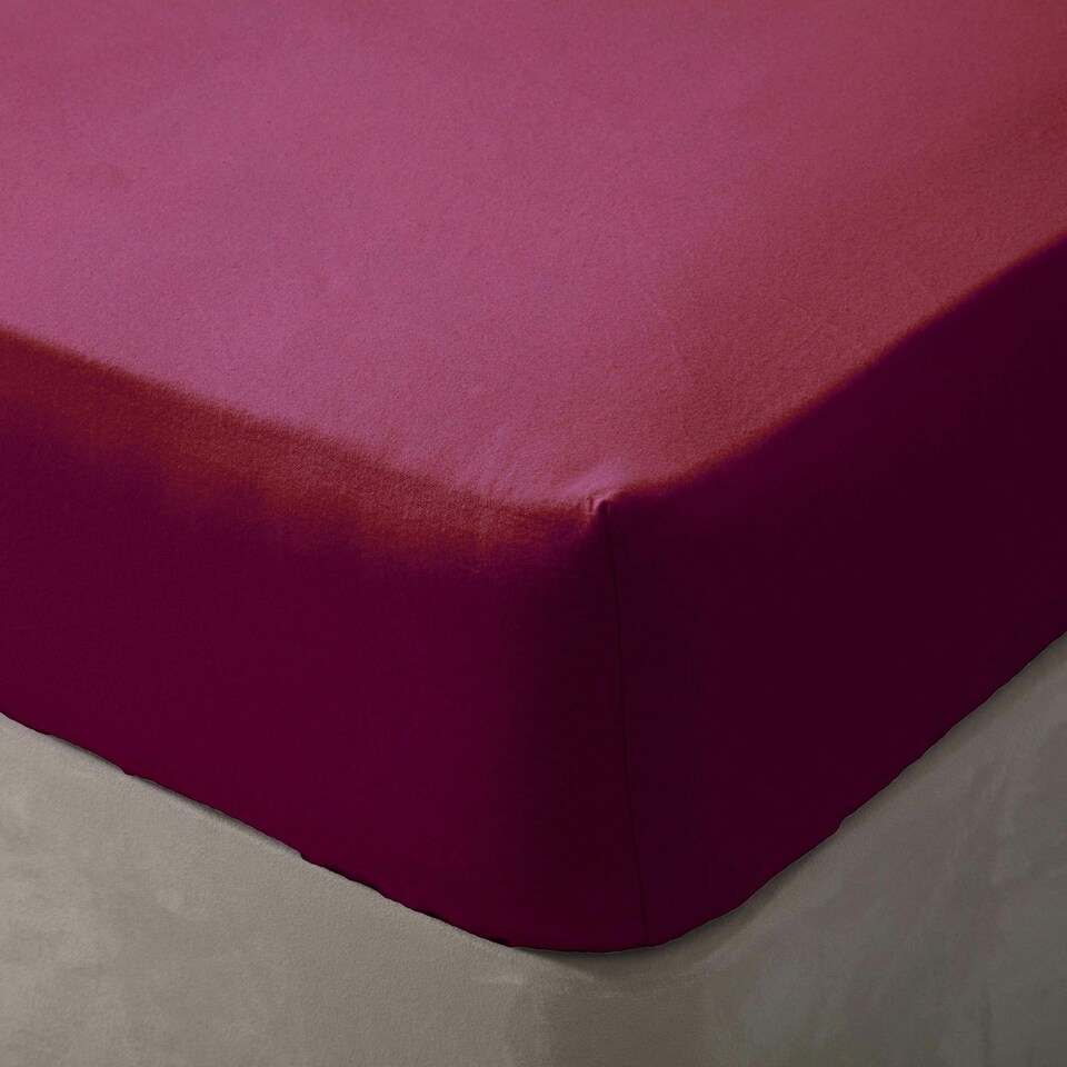 image 1 of Belledorm Brushed Cotton Fitted Sheet - Red - Kingsize