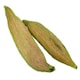image 3 of 1Pk 2 Pods Small Animals Hamsters, Mice, Gerbils Naturals Play n Bedding Pods