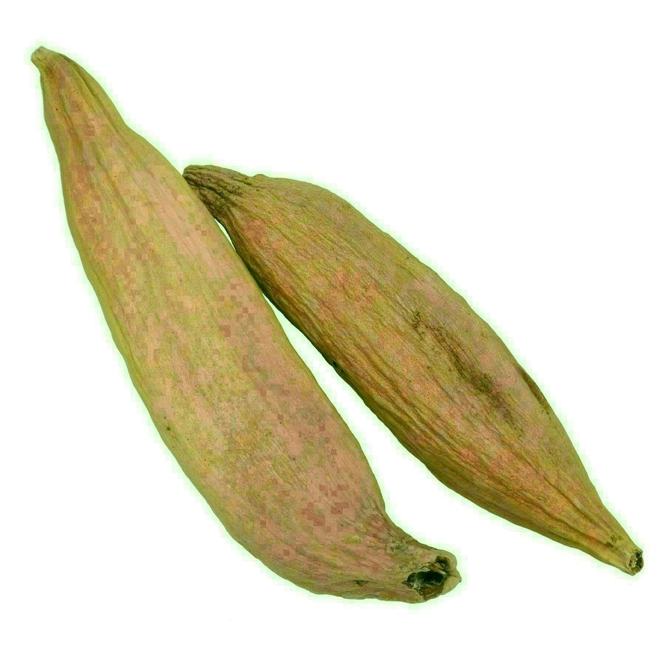 image 1 of 1Pk 2 Pods Small Animals Hamsters, Mice, Gerbils Naturals Play n Bedding Pods