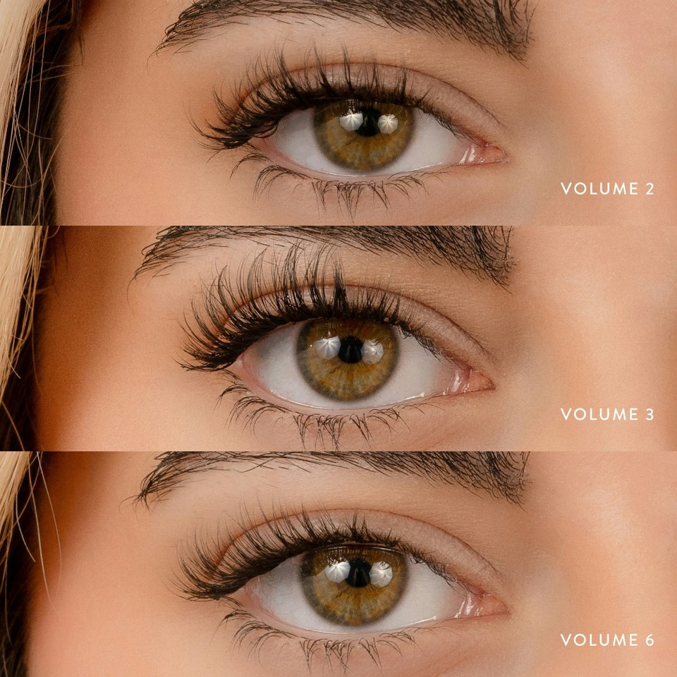 image 1 of House Of Amor - Eyelash Extensions - Volume 7 - Pre Mapped Multipack -