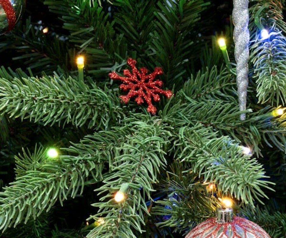 image 1 of Christmas Tree World  7ft/210cm Foresta Pine Christmas Tree