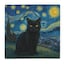 Starry Night Black Cat