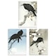 image 1 of Set of 3 Ohara Koson Crows Black White Blue Japanese A3 Wall Art Prints | Multi