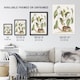 image 3 of Ground Squirrel and Wild Nutmeg Mark Catesby Framed Wall Art Print 12X16"