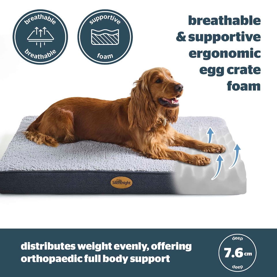 image 1 of Silentnight Firm Support Crate Mattress Pet Bed