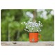 image 1 of Forget Me Not Flowers Rug Green | L