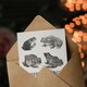 image 3 of Theo van Hoytema Birthday Card Six Frogs and Toads Drawing