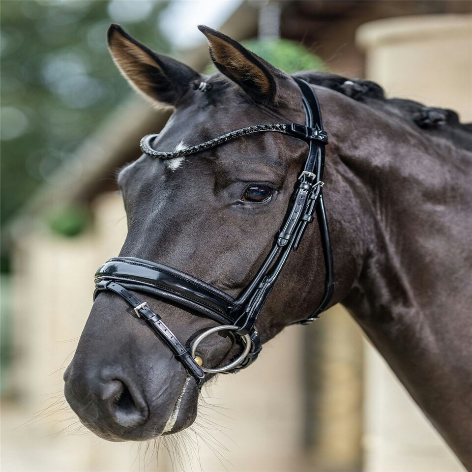 image 1 of LeMieux Kudos Patent Dressage Bridle Brown | X-Full