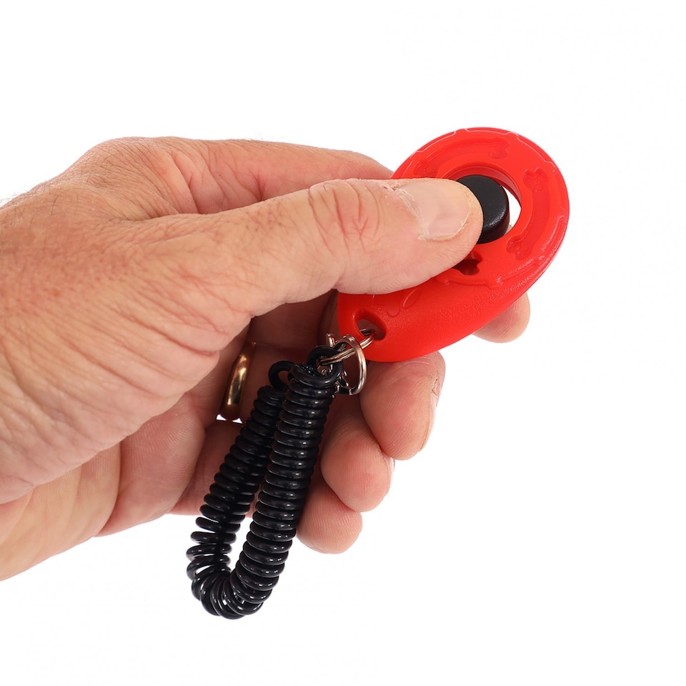 image 1 of Multicoloured Pack of 4 Pet Dog Puppy Cat Training Clicker with Wrist Strap