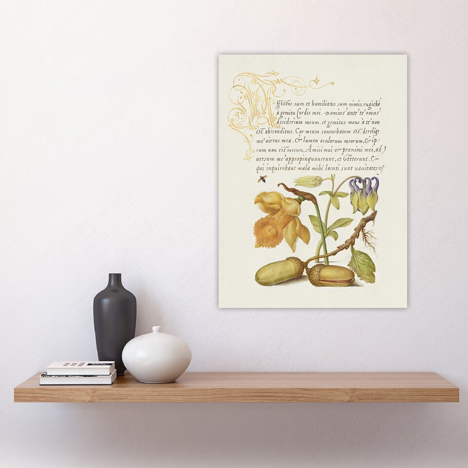 image 1 of Daffodil Flower and Oak Acorns Calligraphy Huge Wall Art Print 18X24 In