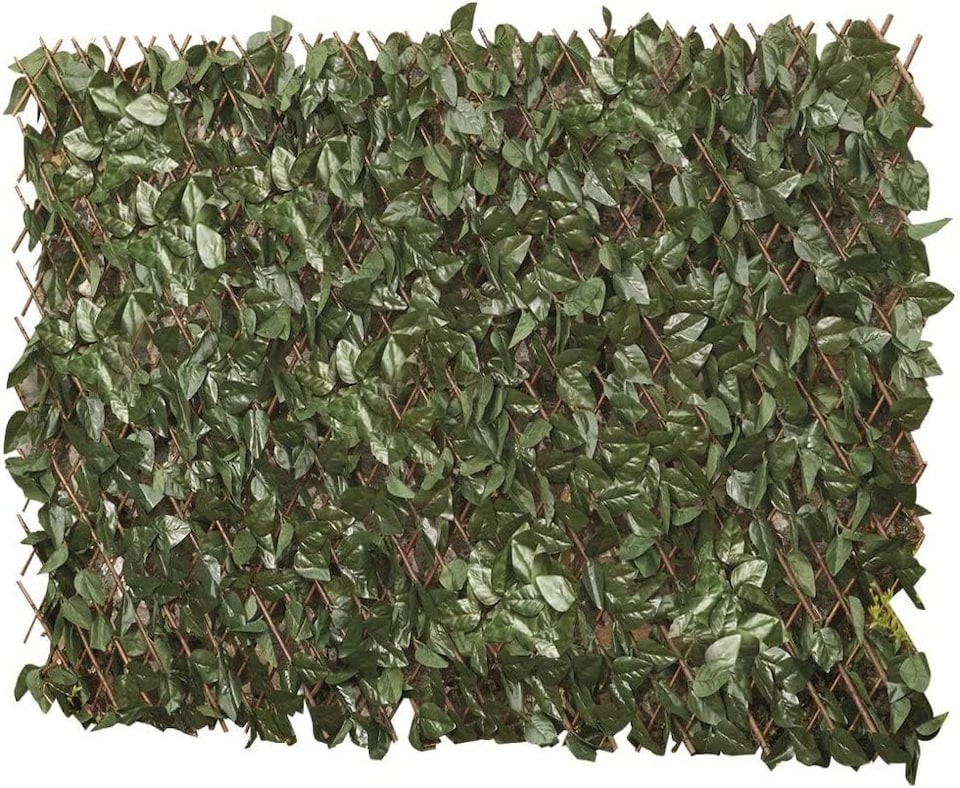 image 1 of Artificial Ivy Hedge Trellis 1 x 2m Expandable Privacy Screening Panel for Gardens, Balcony and Terraces