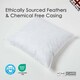 image 3 of Homescapes Luxury Duck Feather Cushion Pad Insert Inner 80 x 80 cm (32 x 32 inches) | White | 80 x 80 cm (32 x 32")