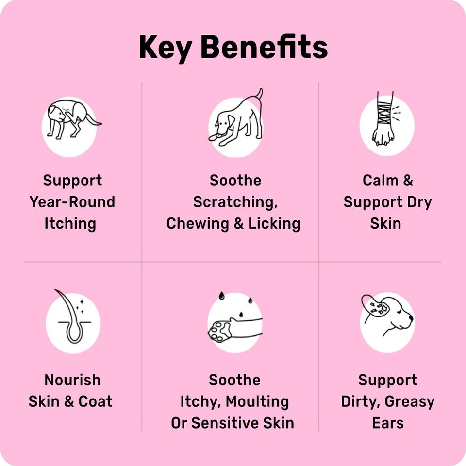 image 1 of All-Itch & Immunity Treats