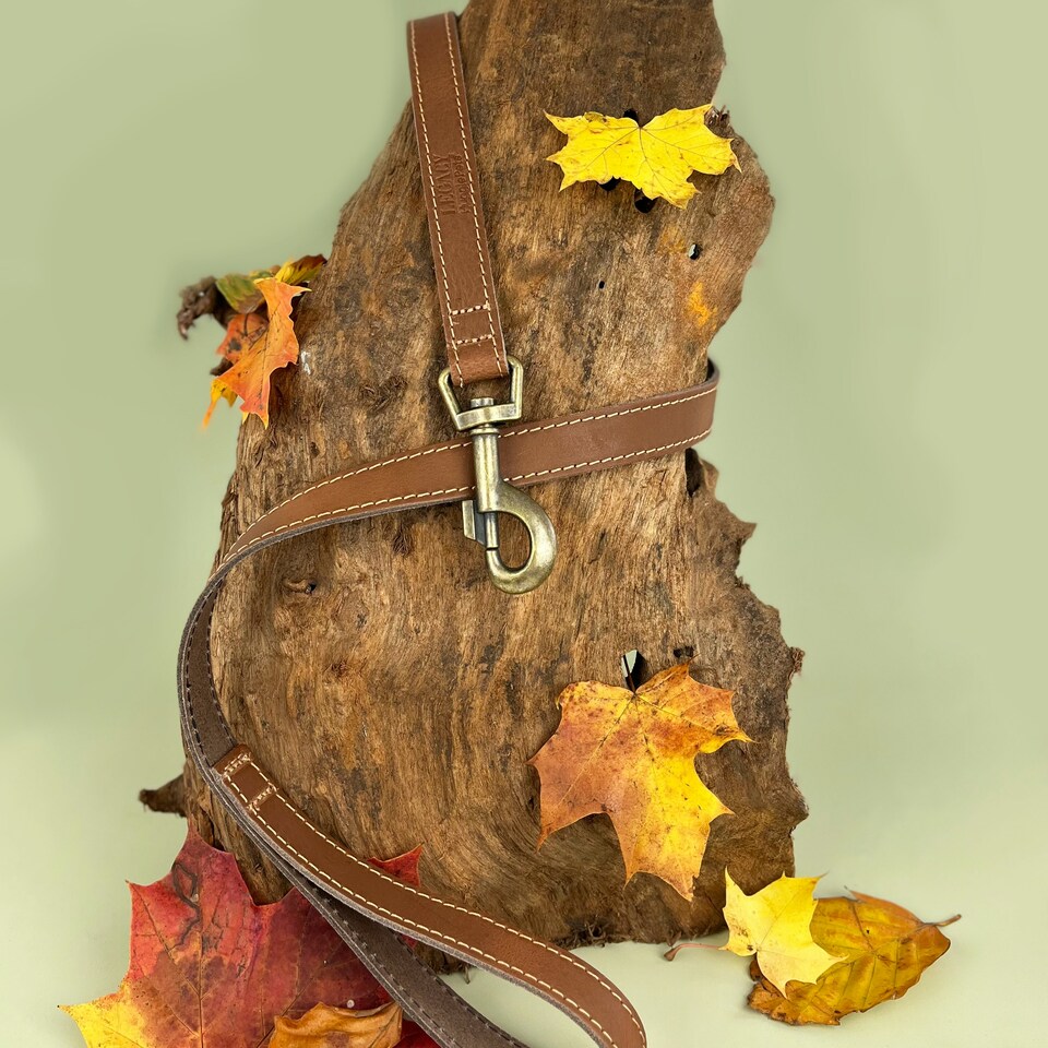 image 1 of HugglePets Legacy Leather Dog Lead Brown | Tan