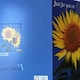 image 10 of 3D Holographic Just for you on Mother's Day BEAUTIFUL BRIGHT COLOURFUL SUNFLOWERS Mother's Day Greetings Card