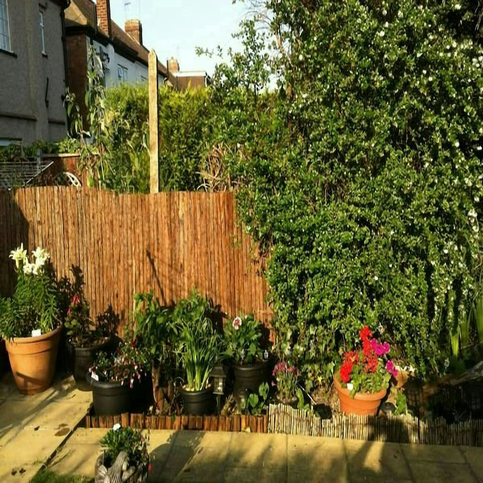 image 1 of Primrose Natural Bark Screening Garden Fence Privacy Roll Sun Protection 3m x 1.2m