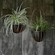 image 3 of Indoor Tall Kensington Hanging Planter Copper