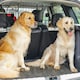 image 2 of PawHut Dog Guard for SUVs, Vehicles, Vans, Car Barrier with Adjustable Width
