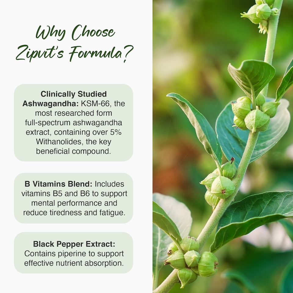 image 1 of Zipvit Ashwagandha KSM-66 Complex 2000mg with Vitamin B6, B5 & Black Pepper, Energy & Mental Performance, 60 Vegan Capsules, 2-Month Supply