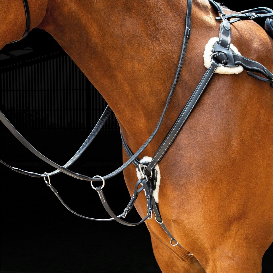 image 1 of Shires Salisbury Five Point Breastplate Brown | Size: X-Full
Colour: H.Brown