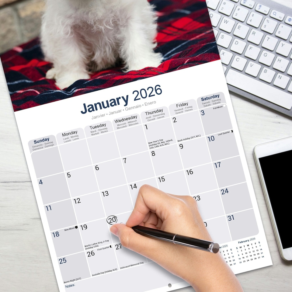 image 1 of West Highland Terrier 2026 Calendar | Square Wall Calendar | Dog Breed Gift | Plastic Free Packaging | by Avonside Publishing