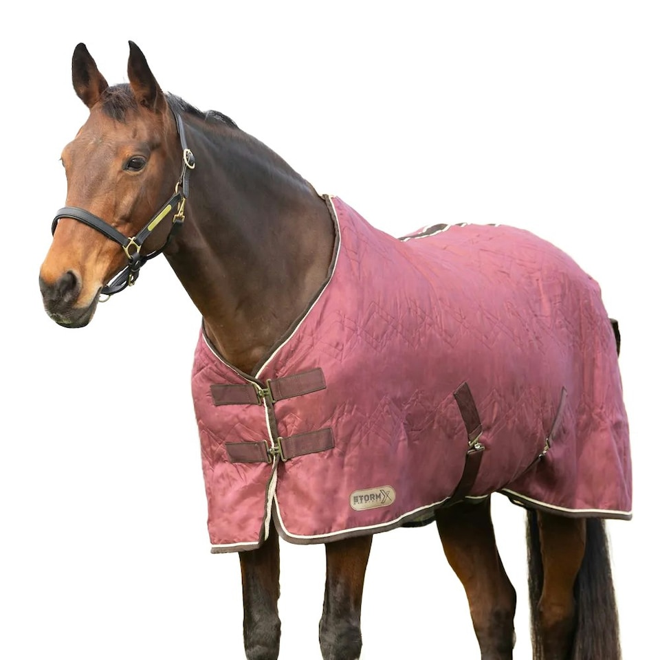 image 1 of StormX Empra Standard-Neck Horse Show Rug - Burgundy/Cream - 7´