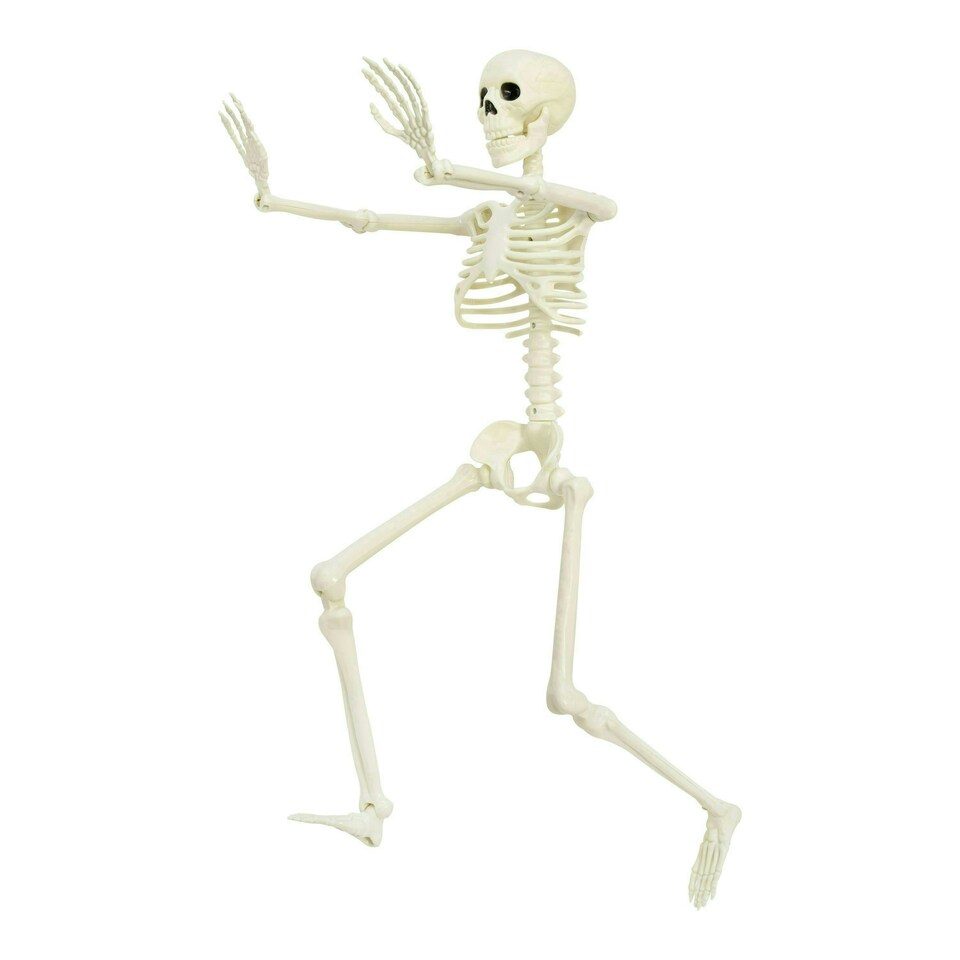 image 1 of 90cm Skeleton