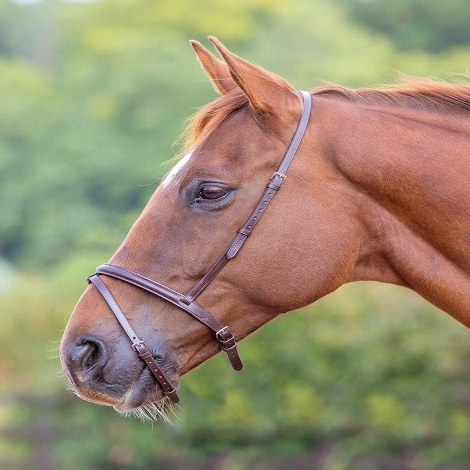 image 1 of Shires Blenheim Flash Noseband Brown | Size: Full
Colour: H.Brown